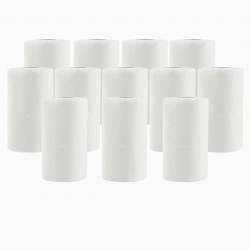 12 x Kitchen Rolls 2 PLY